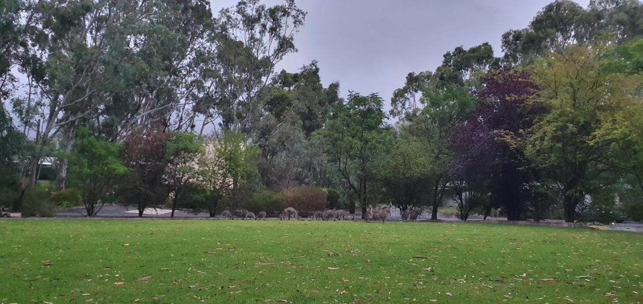 A-Line Holiday Park Bendigo Buitenkant foto